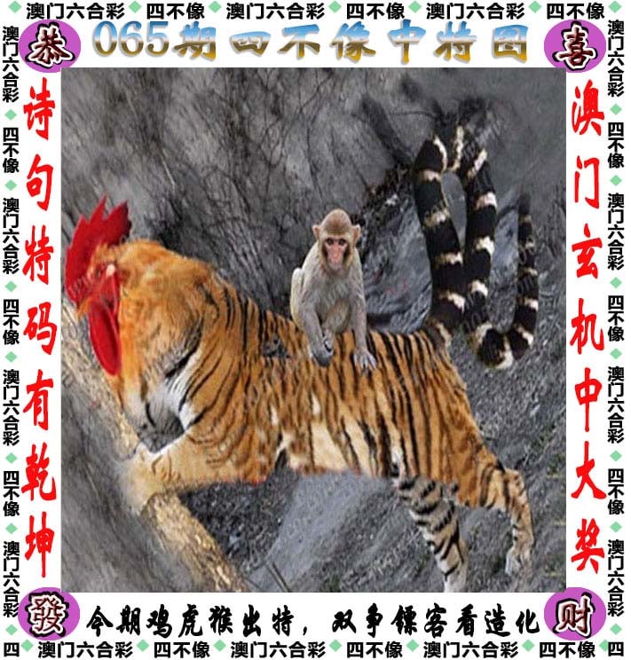 澳门2023全年精准资料大全