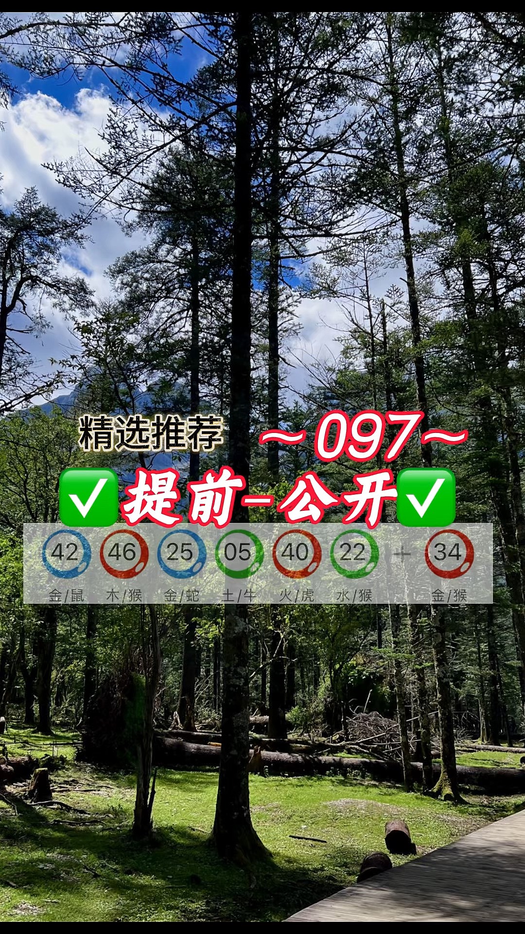 新澳门今晚上开码结果