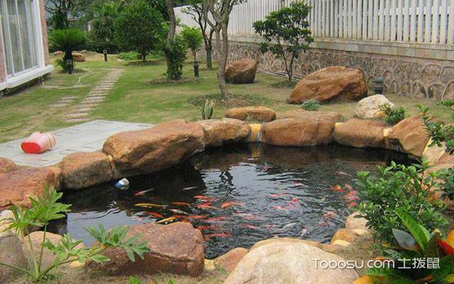 庭院鱼池风水禁忌