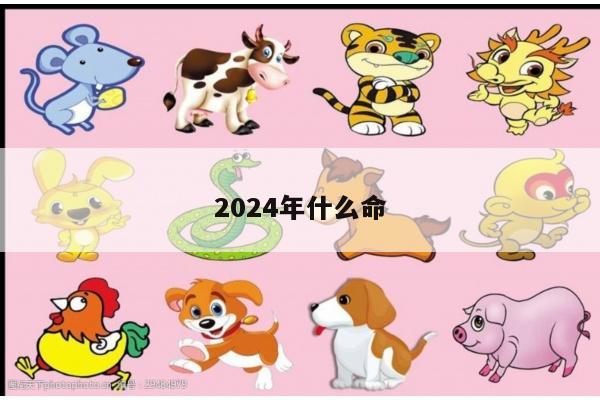 2024年什么命