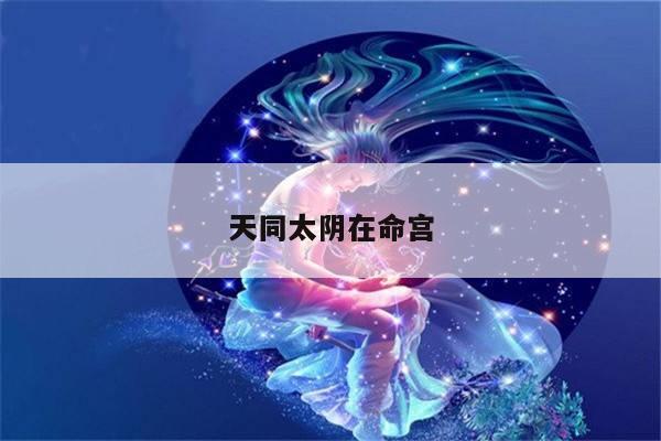 天同太阴在命宫