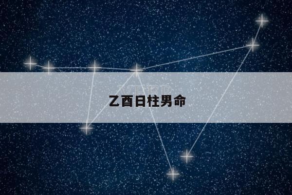 乙酉日柱男命