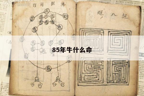 85年牛什么命