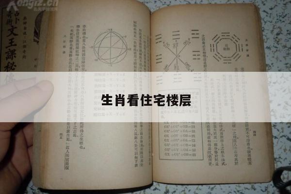 生肖看住宅楼层