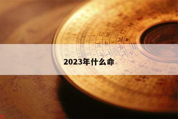 2023年什么命