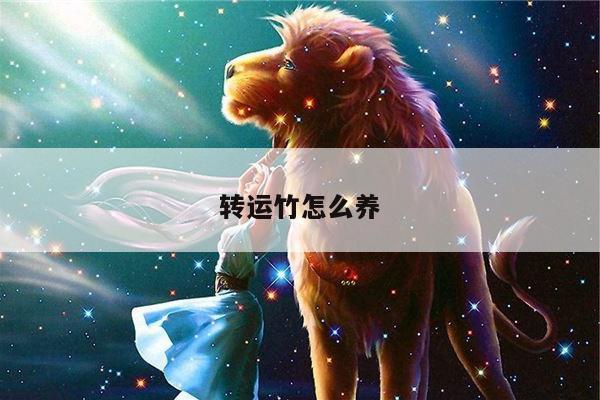 转运竹怎么养