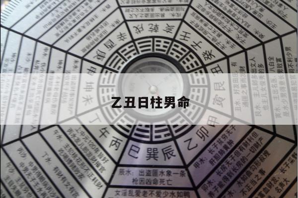 乙丑日柱男命