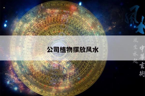 公司植物摆放风水