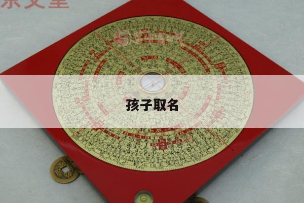 孩子取名