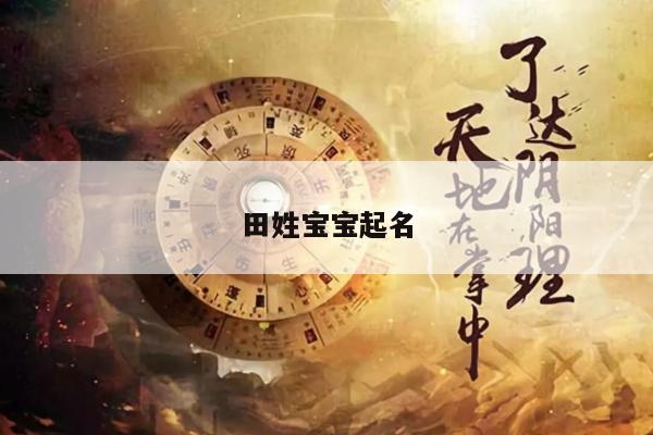 田姓宝宝起名