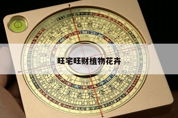旺宅旺财植物花卉