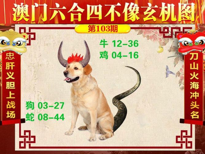 澳门十不中免费公开资料,澳门十不中网站