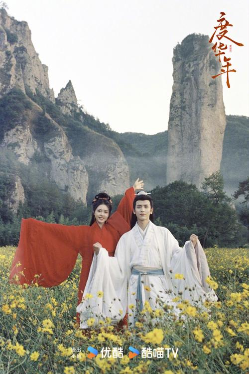 度华年电视剧免费观看全集完整版星辰影院,度华年的意思是什么