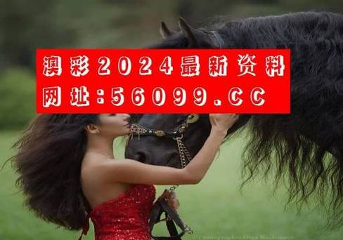 澳门正版马会免费资料大全,