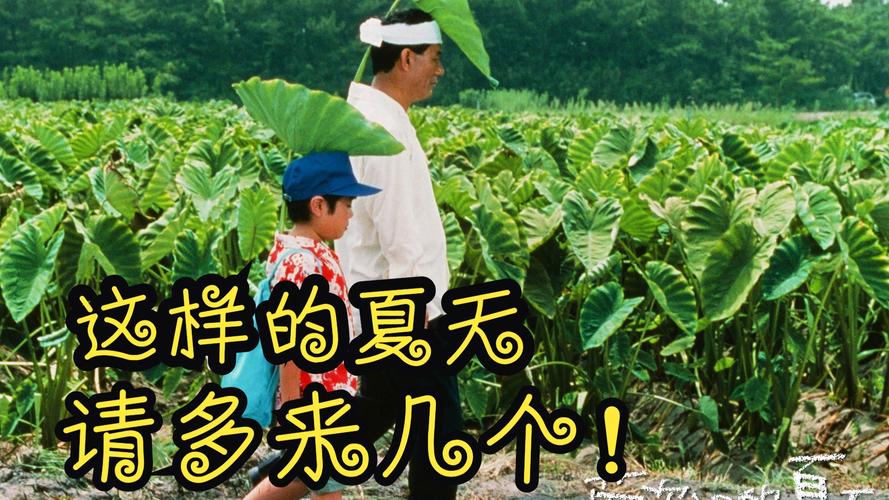 菊次郎的夏天讲的是什么故事,菊次郎的夏天讲的是什么故事表达什么