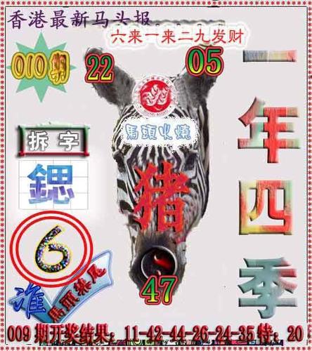 今晚香港香港开什么号码,香港今晚开什么号码查询