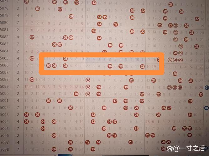 澳门2023状元红精准一肖一码,状元红393333高手论坛二四六