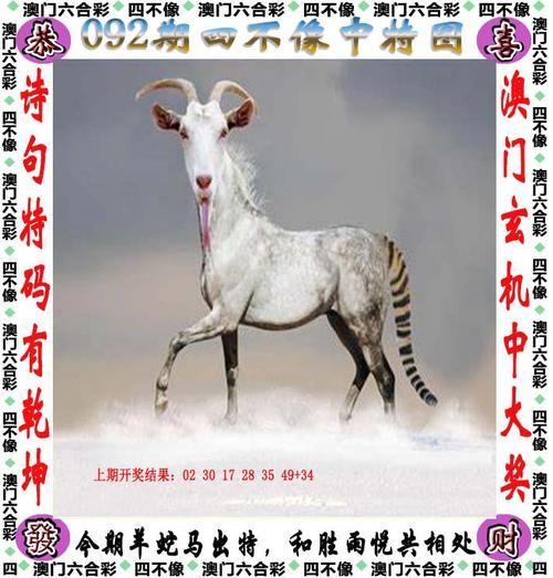 香港正版一码一肖看图,香港一码图资料