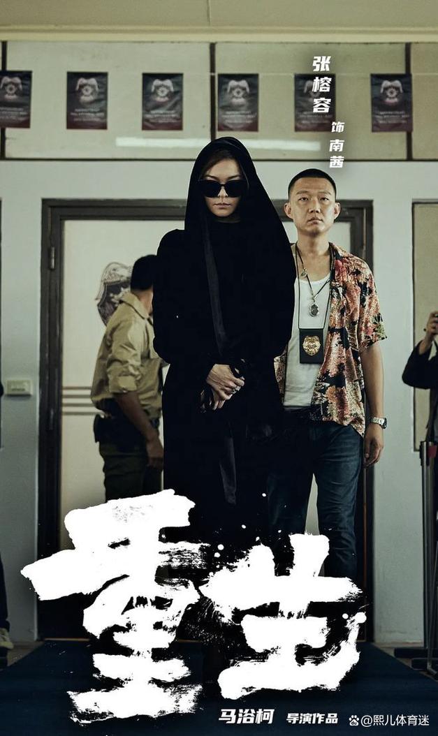 最新谍战暗夜与黎明在线观看,最新谍战暗夜与黎明在线观看电影