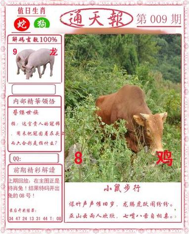 澳门全年金光佛免费资料,